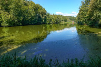 /album/entlang-der-teiche-und-uber-das-hugelland-nordlich-des-sulmtales-23-september-2026/st-martin-im-sulmtal-23-09-2026-4-jpg/